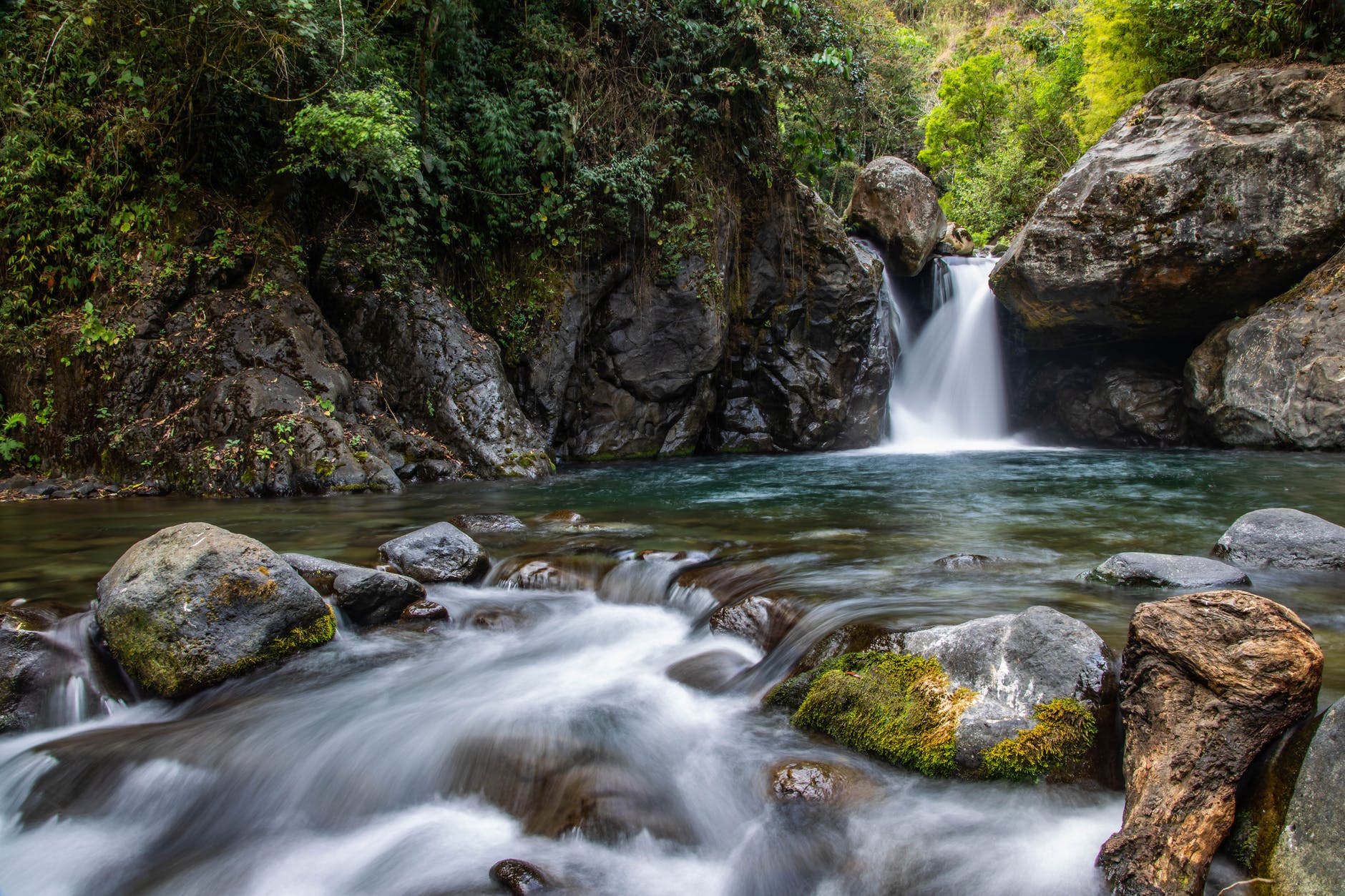 water falls in the middle of the forest